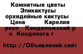 Комнатные цветы.  Эпикактусы - орхидейные кактусы. › Цена ­ 200 - Карелия респ., Кондопожский р-н, Кондопога г.  »    